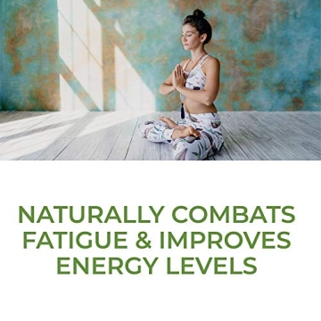 MegaFood Blood Builder Iron Supplement for Energy and Wellness 90 Tablets