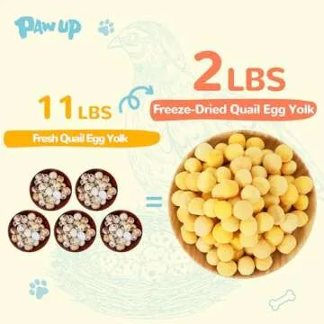 PAWUP Freeze-Dried Quail Egg Yolk Treats for Pets