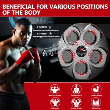 Bluetooth Music Boxing Trainer - Wall Mounted Punching System