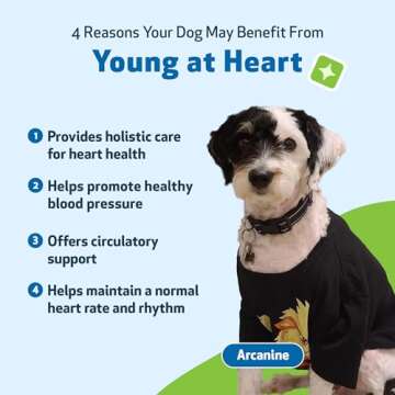 Pet Wellbeing Young at Heart for Dogs - Heart Health, Circulatory & Cardiovascular System, Hawthorn, Motherwort, Schisandra - Veterinarian-Formulated Herbal Supplement 2 fl oz (59 ml)