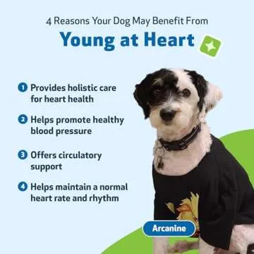 Pet Wellbeing Young at Heart for Dogs - Heart Health, Circulatory & Cardiovascular System, Hawthorn, Motherwort, Schisandra - Veterinarian-Formulated Herbal Supplement 2 fl oz (59 ml)