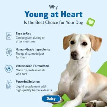 Pet Wellbeing Young at Heart for Dogs - Heart Health, Circulatory & Cardiovascular System, Hawthorn, Motherwort, Schisandra - Veterinarian-Formulated Herbal Supplement 2 fl oz (59 ml)