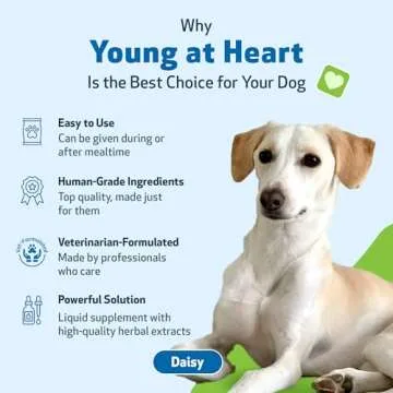 Pet Wellbeing Young at Heart for Dogs - Heart Health, Circulatory & Cardiovascular System, Hawthorn, Motherwort, Schisandra - Veterinarian-Formulated Herbal Supplement 2 fl oz (59 ml)