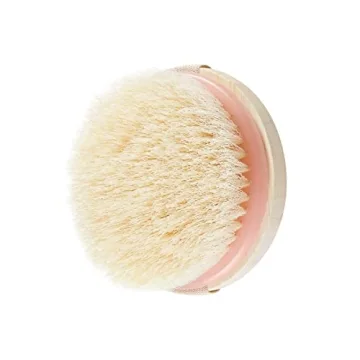 EcoTools Dry Body Brush, for Post Shower & Bath Skincare Routine, Removes Dirt & Promotes Blood Circulation, Helps Reduce Appearance of Cellulite, Eco-Friendly, Vegan & Cruelty-Free, 1 Count