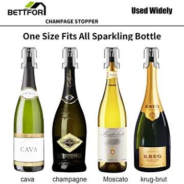 BETTFOR Leak-proof Champagne Stoppers - 2 Pack with Steel