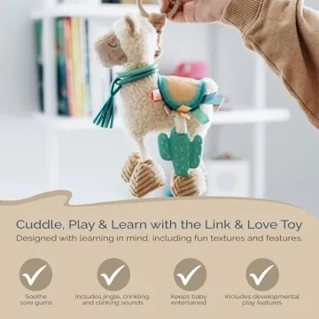 Itzy Ritzy Link & Love Toy Perfect for Babies 0 Months