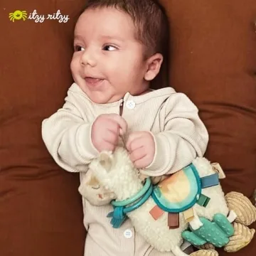Itzy Ritzy Link & Love Toy Perfect for Babies 0 Months