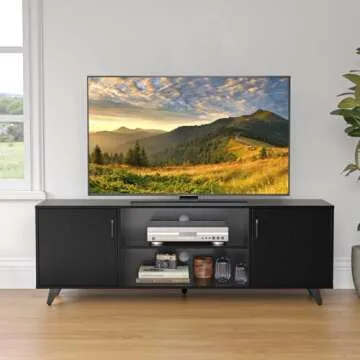 Panana Modern TV Stand, Entertainment Center Television Stands Console with 2 Doors & Shelves Media Console (Black, 63" x 15" x 21.6")