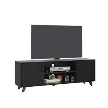 Panana Modern TV Stand, Entertainment Center Television Stands Console with 2 Doors & Shelves Media Console (Black, 63" x 15" x 21.6")