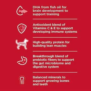 Hill's Science Diet Puppy Food, Chicken & Brown Rice, 15.5 lb