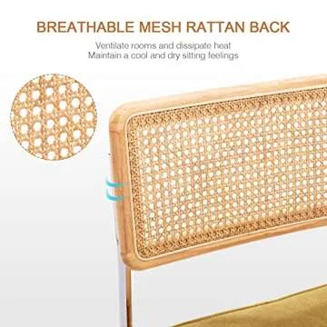 Stylish Zesthouse Natural Rattan Dining Chairs Set of 2