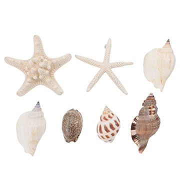 NUOBESTY Magnetic 7PCS Beach Magnets - 3D Seashell & Conch Shape Decor