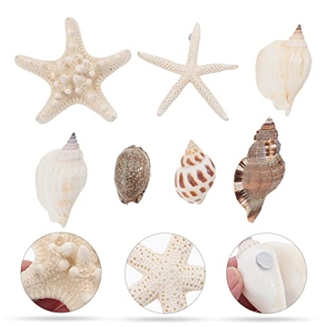 7PCS Beach Magnets for Home and Office Decoration