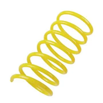 Tamu style Cat Spring Toys (30 Pack), Plastic Coils for Indoor Active Healthy Play, Colorful 2 Inch Spirals