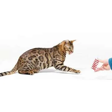 Tamu style Cat Spring Toys (30 Pack), Plastic Coils for Indoor Active Healthy Play, Colorful 2 Inch Spirals