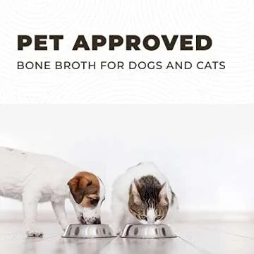 8oz Beef Bone Broth Powder for Dogs and Cats – Human Grade Grass-Fed Bone Broth for Picky Eaters – Supports Joints and Gut Health – Single Ingredient Bone Broth for Cats -Dog Food Toppers For Dry Food