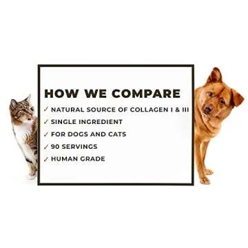 8oz Beef Bone Broth Powder for Dogs and Cats – Human Grade Grass-Fed Bone Broth for Picky Eaters – Supports Joints and Gut Health – Single Ingredient Bone Broth for Cats -Dog Food Toppers For Dry Food