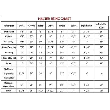 Tack Shack of Ocala Leather Halter with Customized Engraved Name Plate (Horse)