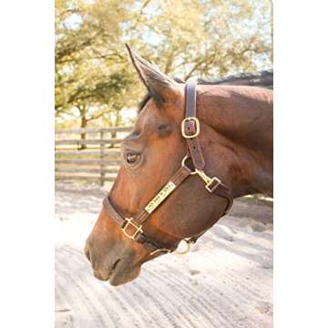 Tack Shack of Ocala Leather Halter with Customized Engraved Name Plate (Horse)