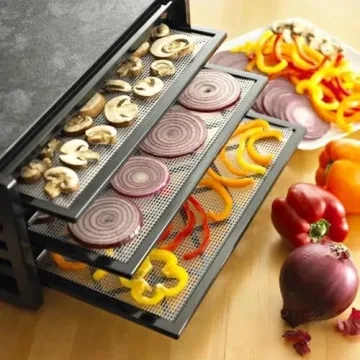 Excalibur 9-Tray Food Dehydrator with Timer and Temperature Control