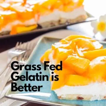 Hearthy Foods Beef Gelatin Powder Unflavored Gelatin Powder for Women and Men | Keto and Paleo Friendly Pure Protein Type 1 & 3, Grass-Fed Halal Certified, Non-GMO, Kosher Gelatin | 16 oz. 454g