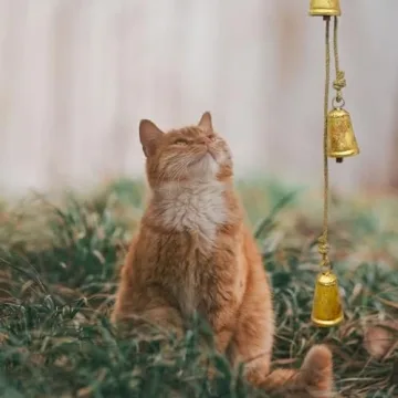 Set of 4 Rustic Hanging Bells Shabby Chic Metal Tibetan Inspired Meditation Cow Bells with Jute Rope Vintage Handmade Lucky Rustic Metal Tranquil Wind Chimes Wall Hanging Decor