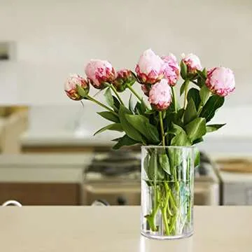 PINIWON Clear Glass Cylinder Vases - Versatile Decorative Set