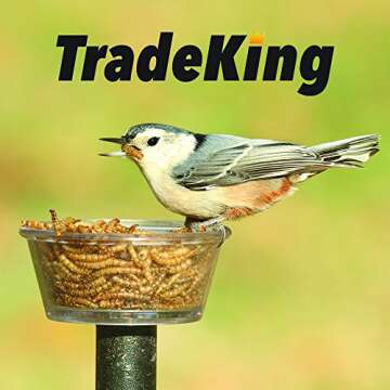 TradeKing Dried Mealworms - High Protein Treats for Pets