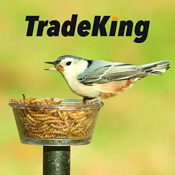 TradeKing Dried Mealworms - High Protein Treats for Pets