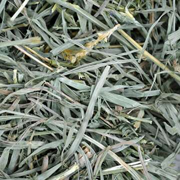 Oxbow Organic Meadow Hay for Small Pets, 40 oz Fresh