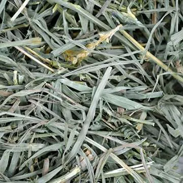 Oxbow Organic Meadow Hay for Small Pets, 40 oz Fresh