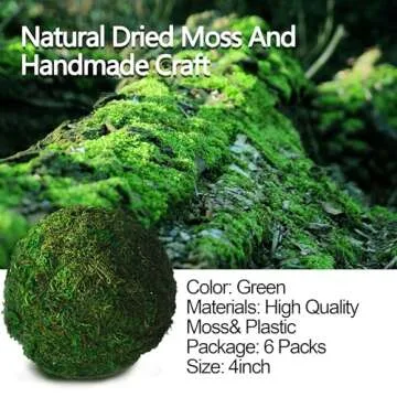Buy Qingbei Rina Decorative Moss Balls for Home Decor