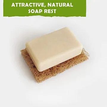 BeMind Coconut Scrubber Eco-Friendly Natural Dish Cleaning Pads