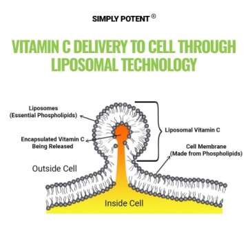 Liposomal Vitamin C 1500mg, 180 VIT C Capsules, Stronger Supplement Than Liposomal Vitamin C 1000mg or Vitamin C 500mg, High Dose Ascorbic Acid Vitamin C Antioxidant for Collagen Immune Support Heart