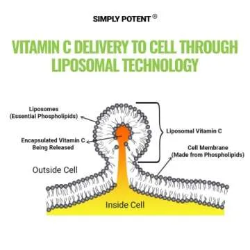 Liposomal Vitamin C 1500mg, 180 VIT C Capsules, Stronger Supplement Than Liposomal Vitamin C 1000mg or Vitamin C 500mg, High Dose Ascorbic Acid Vitamin C Antioxidant for Collagen Immune Support Heart