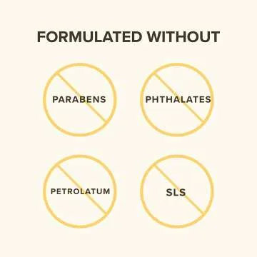 Burt's Bees Christmas Gift: Moisturizing Body Care Set