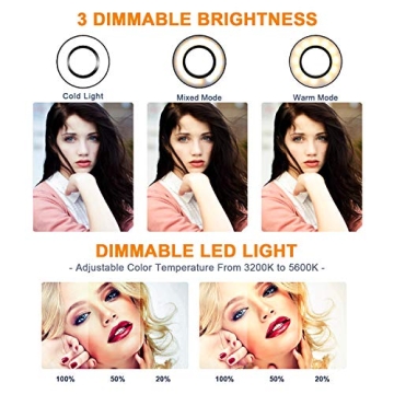 Buy GLCON LED Ring Light with Phone Holder Today