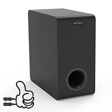 Bestisan SW65D Powered Subwoofer - Compact Design for Deep Bass