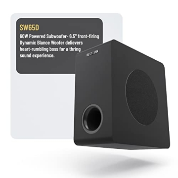 Bestisan 6.5 inch Active Subwoofer for Deep Bass