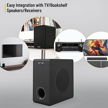 Bestisan 6.5 inch Active Subwoofer for Deep Bass