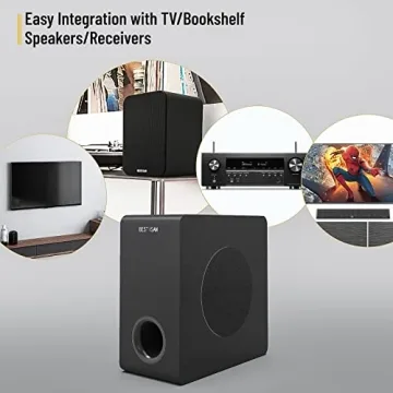 Bestisan 6.5 inch Active Subwoofer for Deep Bass