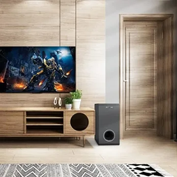 Bestisan 6.5 inch Active Subwoofer for Deep Bass