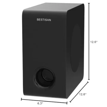Bestisan 6.5 inch Active Subwoofer for Deep Bass