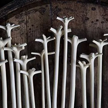 Cocktail Kingdom® Traditional "Le Bois Lélé" Swizzle Stick - Elevate Your Cocktail Game