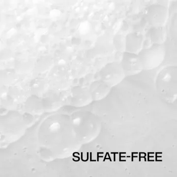 Redken Frizz Dismiss Sulfate Free Anti Frizz Shampoo