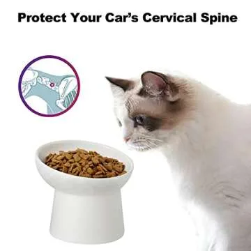 KITCHENLESTAR Elevated Cat Bowls for Easy Feeding