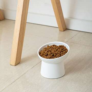 KITCHENLESTAR Elevated Cat Bowls for Easy Feeding
