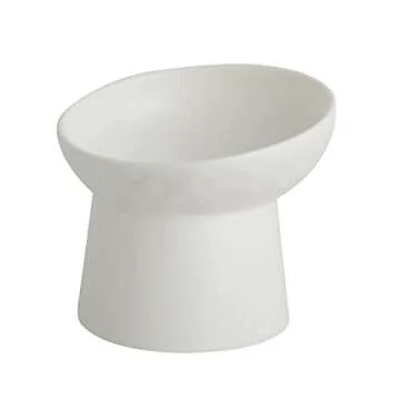 KITCHENLESTAR Elevated Cat Bowls for Easy Feeding