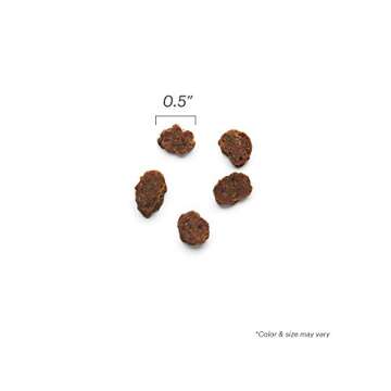 The Honest Kitchen Surf & Turf Meaty Littles: Beef & Salmon Recipe, 4 oz Bag