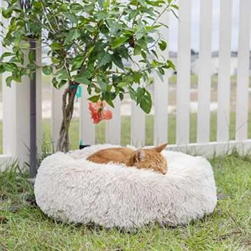 Small Dog Bed Calming Dogs Bed for Small Medium Large Dogs Anti-Anxiety Puppy Bed Machine Washable Warming Cozy Soft Pet Round Bed Fits up to 10-100 lbs (23”Small（Pack of 1）, Beige)